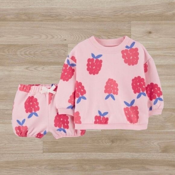 Baby Girl's Carter's 2 piece set Raspberry Sweater‎ and Short Set 6 months - Picture 1 of 16
